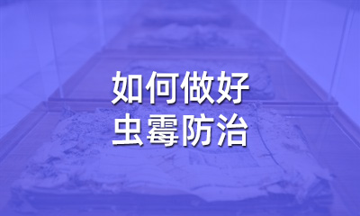 檔案修復(fù)后，如何做好蟲霉防治